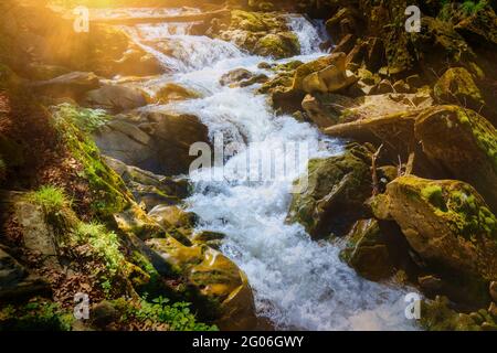 Wasserfall Szepit am Hylaty-Bach in Bieszczady, Polen. Offiziell der größte Wasserfall in diesen Bergen. Stockfoto