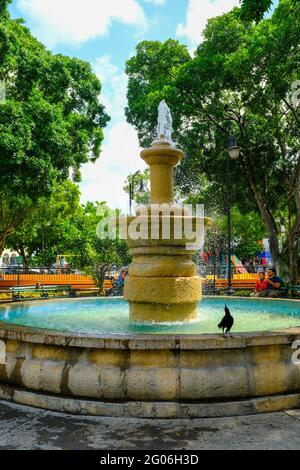 Brunnen im Santiago Park, im Stadtteil Santiago in Merida Centro, Yucatan, Mexiko Stockfoto