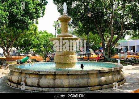 Brunnen im Santiago Park, im Stadtteil Santiago in Merida Centro, Yucatan, Mexiko Stockfoto