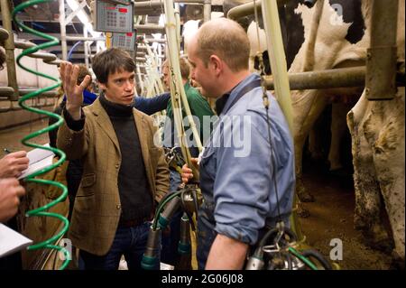 Rory Stewart, der konservative Kandidat des Parlaments für den Penrith und den Wahlkreis der Grenze, sprach mit dem Landwirt Richard Gibson während des Melkens am Morgen. Teil des Wahlkampfs von Rory aus dem Jahr 2010. Castlesteads Farm, Plumpton, Cumbria, Großbritannien. 16 April 2010 Stockfoto