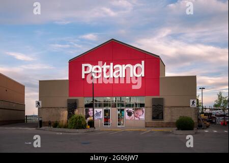 Calgary, Alberta – 30. Mai 2021: Außenfassade eines Petland-Ladens in Calgary, Alberta. Stockfoto