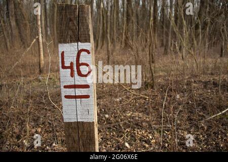 Pfeiler Nr. 46 im Wald Stockfoto