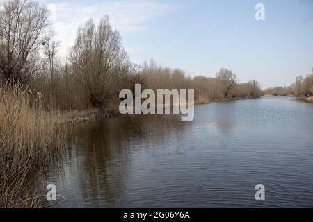 Blick auf das Flussufer mit blauem Himmel Stockfoto