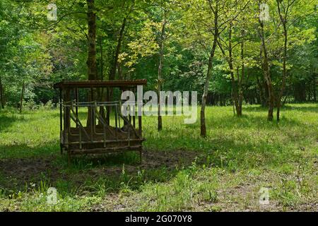 Ein altes Futterhäuschen aus Holz, das Ende Mai auf einem Feld in der Nähe des Dorfes Merso di Sopra in der Provinz Udine, Friaul-Julisch Venetien, Nordostitalien, liegt Stockfoto