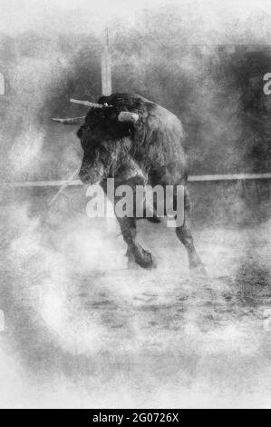 Unterhaltung, Spektakel des Stierkampfes, wo ein Stier gegen eine Stierkampfarena der spanischen Tradition in Schwarz-Weiß-Zeichnung kämpft Stockfoto