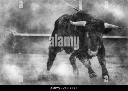 Blut, Schauspiel des Stierkampfes, wo ein Stier gegen eine Stierkampfarena der spanischen Tradition in Schwarz-Weiß kämpft Stockfoto