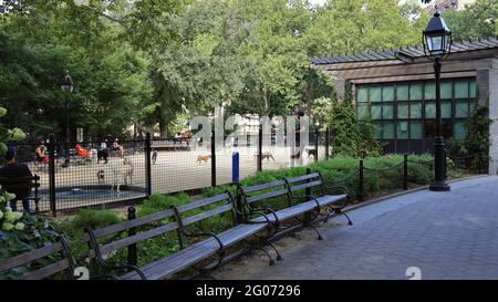New York, NY, USA - 1. Juni 2021: Hunderauf im Washington Square Park Stockfoto