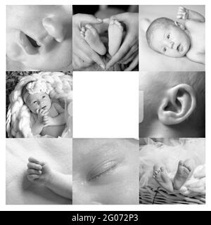 Collage niedlichen neugeborenen Baby von vier Foto. Stockfoto