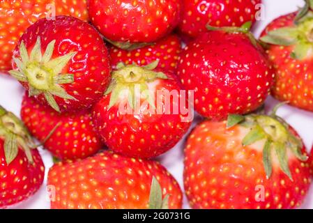 Grootebroek, Niederlande, Mai 2021. Nahaufnahme von roten Erdbeeren. Hochwertige Fotos. Nahaufnahme. Makro Stockfoto