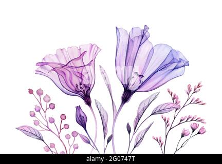 Florale Kunstwerke in Lila. Aquarellbanner. Handbemaltes Bouquet mit transparenter violetter Blume und auf Weiß isolierten Blättern. Abstrakt botanisch Stockfoto