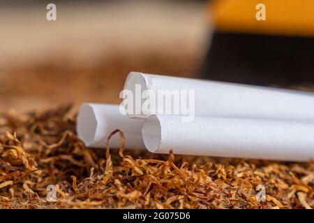 Leere Kartuschen mit einem Filter zum Befüllen mit Tabak, Zigaretten auf Tabakblättern. Gesundheit Stockfoto