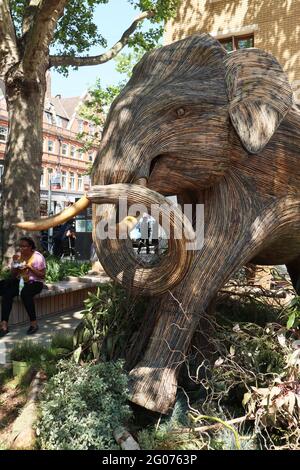 Herd the News, EINE großartige Herde von 50 handgefertigten lebensgroßen Elefanten, die Chelsea umherstreifen, hergestellt aus Lantana Camara, einem natürlichen Pflanzenmaterial, London, Stockfoto