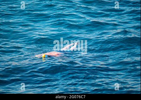 Schnorchelkonzept. Man erkundet das blaue Meer während des Schnorchelns am Sommertag. Man Schnorcheln Schwimmen Sommerurlaub Konzept. Stockfoto