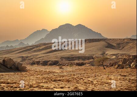 sinai-Gebirge. Berge Sharm el Sheikh an der Südspitze der Sinai-Halbinsel. Wüste mit Bergen. Sinai, Ägypten. Panorama Sand Wüste Sinai Stockfoto