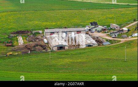 Draufsicht auf Schuppen auf einem Tierhof, Kühe und Schafe, inmitten von Wiesen und Feldern. Abruzzen, Italien, europa Stockfoto