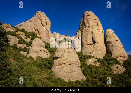 Die Türme von Elefant und La Mòmia vom Weg zur Einsiedelei von Sant Benet aus gesehen (Montserrat, Katalonien, Spanien) Stockfoto