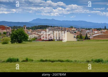 Grüne Wiesen im Frühling bei Prats de Lluçanès (Osona, Barcelona, Katalonien, Spanien) ESP: Prados verdes en primavera cerca de Prats de Lluçanès Stockfoto