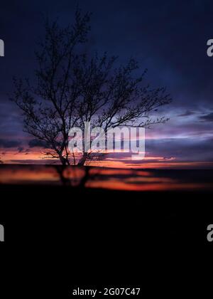 Doppelbelichtung eines Baumes am Horizont in der Great Plains Stockfoto