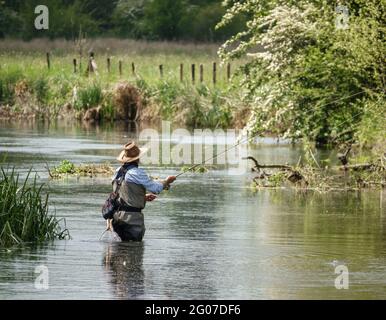 Ein Mann in Brustwarze steht im Fluss Avon, Wiltshire Fliegenfischen für Bachforelle Stockfoto