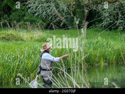 Ein Mann in Brustwarze steht im Fluss Avon, Wiltshire Fliegenfischen für Bachforelle Stockfoto