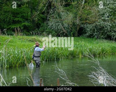 Ein Mann in Brustwarze steht im Fluss Avon, Wiltshire Fliegenfischen für Bachforelle Stockfoto