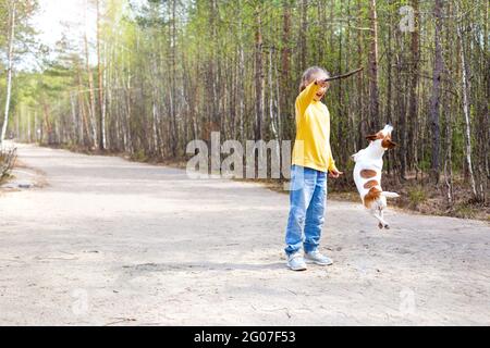 Im Sommer spielt ein Mädchen mit langen Haaren im Teenageralter im Park mit einem springenden Hund. Stockfoto