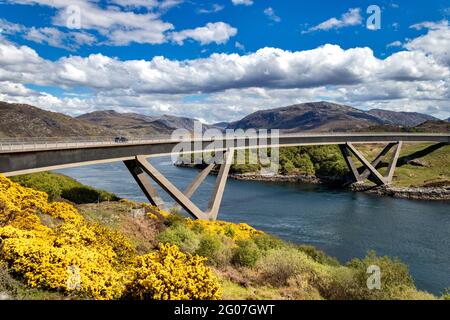 KYLESKU BRÜCKE SUTHERLAND SCHOTTLAND IM FRÜHSOMMER MIT GELBEN GINSTERBLÜTEN Stockfoto