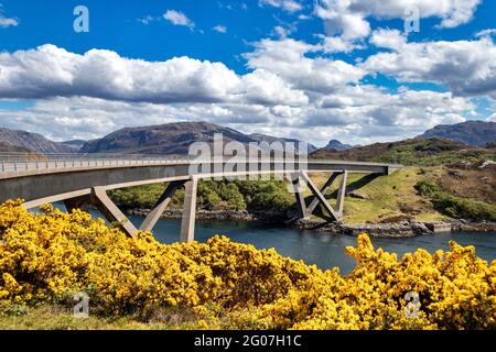 KYLESKU-BRÜCKE, DIE LOCH A CHAIRN BHAIN SUTHERLAND SCOTLAND IM FRÜHSOMMER MIT GELBEN GINSTERBLÜTEN ÜBERQUERT Stockfoto