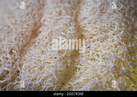 Makro von natürlichen weißen Schwamm Textur auf einem schwarzen Holztisch. Stockfoto