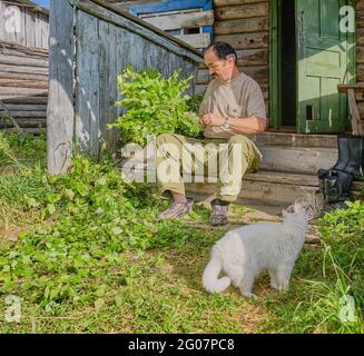 Senior Asian männlich bindet Birkenbeesen für ein Bad auf einer hölzernen Veranda eines alten Landhauses in einem sibirischen Dorf, Russland sitzen. In der Nähe stehen niedlichen Whi Stockfoto