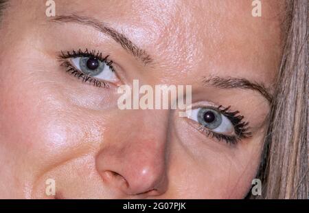 Nahaufnahme des Gesichts einer jungen Dame mit grau-blauen Augen, die auf die Kamera schauen Stockfoto