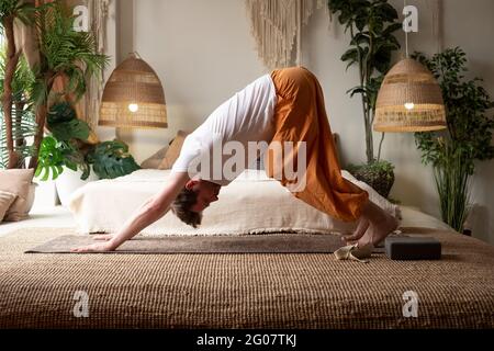 Junger Mann, der zu Hause Yoga praktiziert und Asana nach unten zeigt Stockfoto