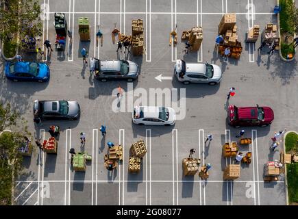 20. April 2020, West Palm Beach, Florida, USA: Autos stehen in einem Drive-up-Lebensmittelverteilzentrum auf dem Parkplatz der Palm Beach Outlets an. Die Menschen erhalten eine einwöchige Versorgung mit Eiweiß, frischen Produkten, Eiern, Milch und anderen wichtigen Gütern. Die Spenden sind auf 800 Fahrzeuge begrenzt, die jeden Montag zuerst kommen, zuerst dienen. Palm Beach Outlets hat sich mit der Fütterung von South Florida zusammen gesetzt, um den Menschen zu helfen, die während der Coronavirus-Pandemie zu kämpfen haben. (Kreditbild: © Greg Lovett/Palm Beach Post via ZUMA Wire) Stockfoto