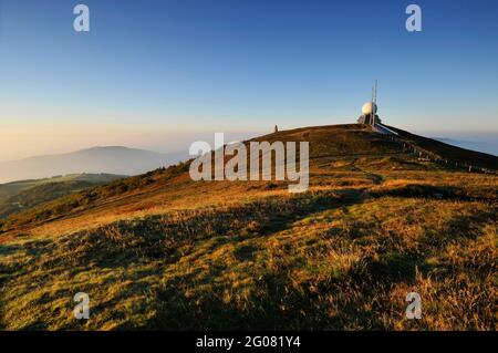 FRANKREICH, HAUT-RHIN (68), SOULTZ-HAUT-RHIN, GRAND BALLON, REGIONALER NATURPARK BALLONS DES VOSGES Stockfoto