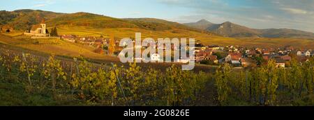 FRANKREICH, HAUT-RHIN (68), HUNAWIHR, BEFESTIGTE KIRCHE ST. JACQUES DER MAJOR IM WEINBERG VON HUNAWIHR IM HERBST Stockfoto