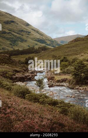 Malerischer Blick auf sprudelndes Wasser mit Felsen und Farnen Bergtal von Glencoe im Vereinigten Königreich im Sommer Stockfoto