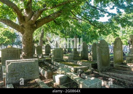 Grabsteine auf dem Hanwell Cemetery in London, Großbritannien, erinnern an diejenigen, die vor uns gelebt und gestorben sind. Stockfoto