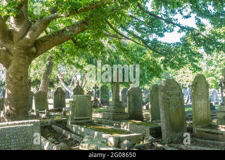 Grabsteine auf dem Hanwell Cemetery in London, Großbritannien, erinnern an diejenigen, die vor uns gelebt und gestorben sind. Stockfoto