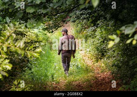 Jäger auf einem Waldweg auf der Suche nach Hirschen Stockfoto