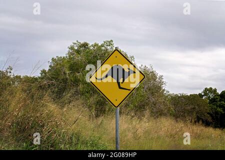 Ein Schild weist Autofahrer darauf hin, sich vor Kängurus zu hüten, die in Australien die Straße überqueren Stockfoto