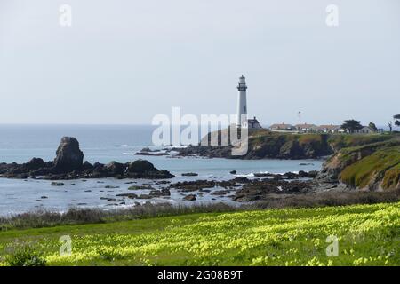 Leuchtturm von Nordkalifornien am felsigen Ufer der Point Arena Stockfoto