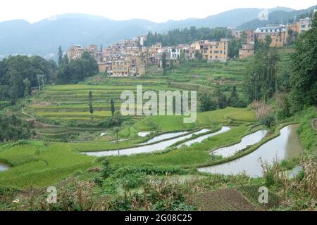 Erstaunliche Reisfelder eine Art Landwirtschaft in der Provinz Yunnan im Süden Chinas Stockfoto