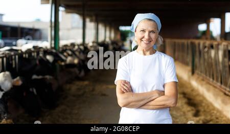Lächelnde, reife Bäuerin, die in der Nähe von Kühen auf dem Kuhhof steht Stockfoto
