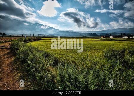 Erstaunliche Reisfelder eine Art Landwirtschaft in der Provinz Yunnan im Süden Chinas Stockfoto