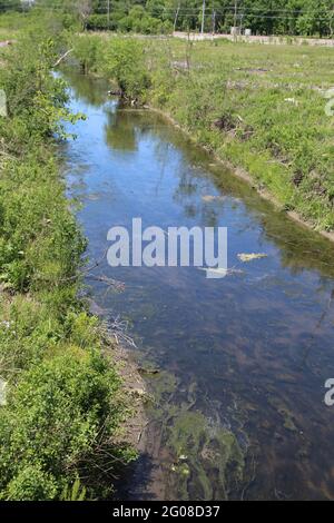 West Fork des North Branch of the Chicago River an einem sonnigen Tag im Somme Prearie Nature Preserve in Northbrook, Illinois Stockfoto