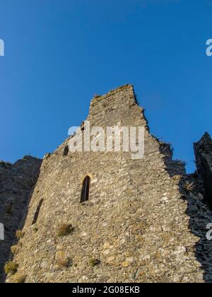 Carlingford Castle County Louth Irland Stockfoto