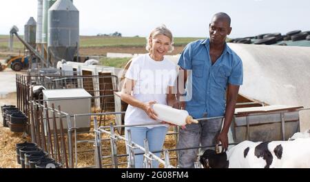 Frau und Mann Bauern füttern neugeborenes Kalb aus der Flasche am Cowhouse Stockfoto