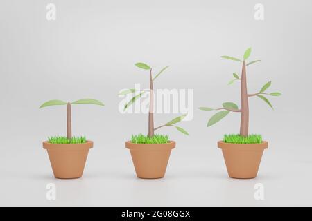 Diagramm zum Baumwachstum. Satz mit Phasen Pflanzenwachstum isoliert auf weißem Hintergrund. 3D-Rendering Stockfoto