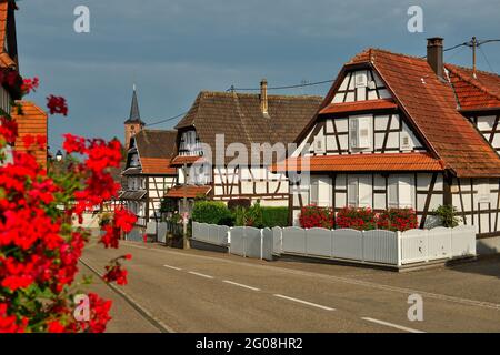 FRANKREICH, BAS-RHIN (67), OUTRE-FORET, DORF HUNSPACH (ZÄHLT ZU DEN SCHÖNSTEN DÖRFERN FRANKREICHS) Stockfoto