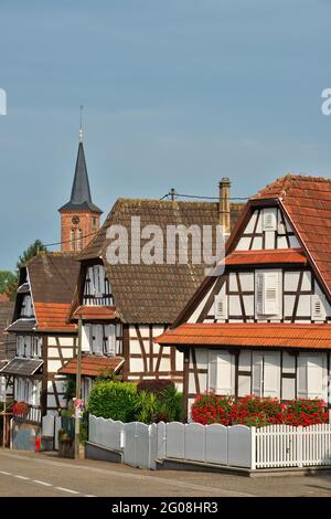 FRANKREICH, BAS-RHIN (67), OUTRE-FORET, DORF HUNSPACH (ZÄHLT ZU DEN SCHÖNSTEN DÖRFERN FRANKREICHS) Stockfoto